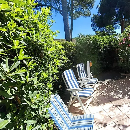 T2 En Pinede Avec Parking, Veranda Et Terrasse, A 900m De La Plage, Ideal Pour 4 Personnes - Fr-1-607-41 Apartment *